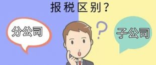 設立分公司和子公司，哪個更節稅？看完就明白了！